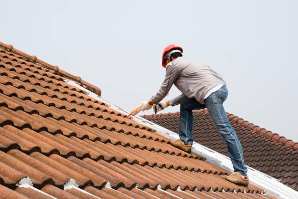 Best Gutter Replacement  in Fulton, MO