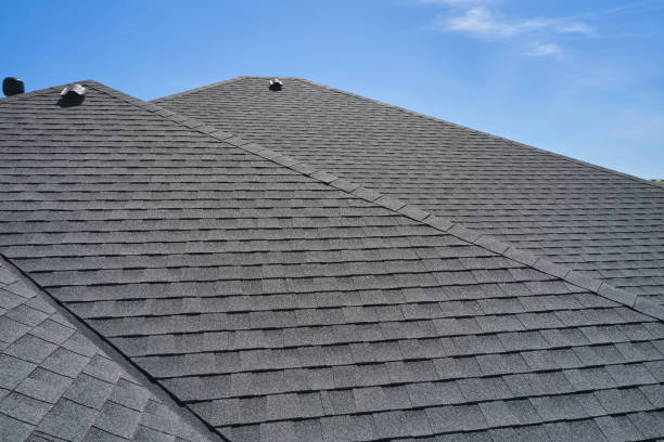 Best Roof Moss and Algae Removal  in Fulton, MO